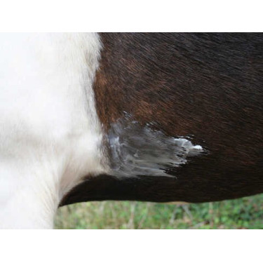 Balsam Animaderm Natjely Balsam Animaderm Natjely