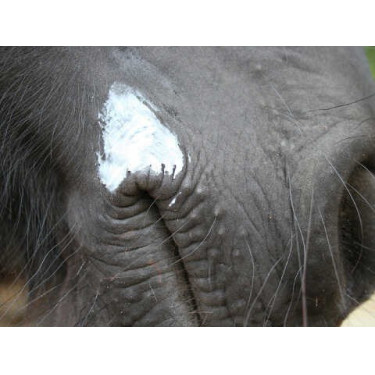 Balsam Animaderm Natjely Balsam Animaderm Natjely