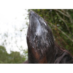 Balsam Animaderm Natjely Balsam Animaderm Natjely