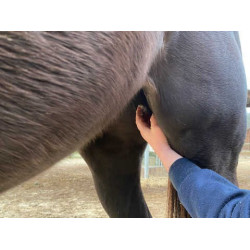 Balsam Animaderm Natjely Balsam Animaderm Natjely