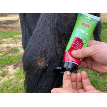 Regenerierend Animaderm Cutene Regenerierend Animaderm Cutene