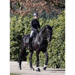 Bandes de polo Loire LeMieux Noir