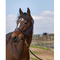 Halfter Equithème Nylon Light Schwarz