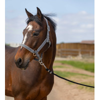 Halfter Equithème Nylon Light Schwarz