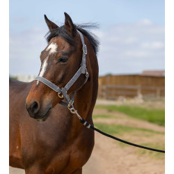 Halfter Equithème Nylon Light Grau