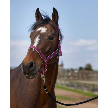 Halfter Equithème Nylon Light Bordeaux