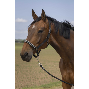 Halfter Equithème Nylon Chevron Schwarz