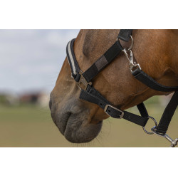 Halfter Equithème Nylon Chevron Schwarz
