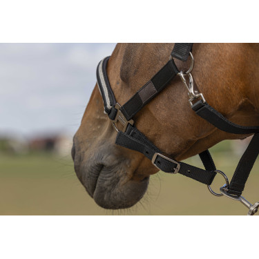 Halfter Equithème Nylon Chevron Schwarz