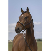 Halfter Equithème Nylon Chevron Braun