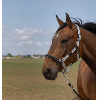 Halfter Equithème Nylon Chevron Schwarz