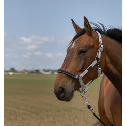 Halfter Equithème Nylon Chevron Hellgrau