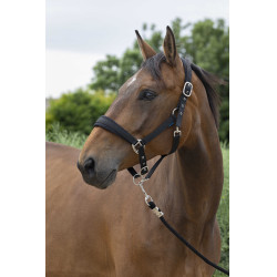 Halfter + Führstrick Norton Large Schwarz