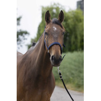 Halfter Norton Satine Schwarz