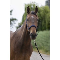 Halfter Norton Satine Marineblau