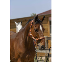 Halfter Norton Satine Schwarz