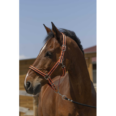 Halfter Norton Satine Koralle / Schwarz Rot