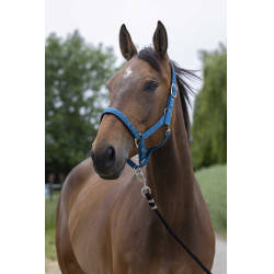 Halfter Norton Satine Entenblau