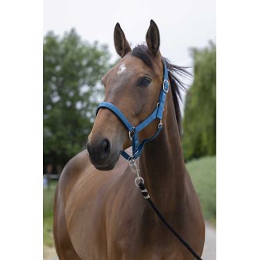 Halfter Norton Satine Entenblau