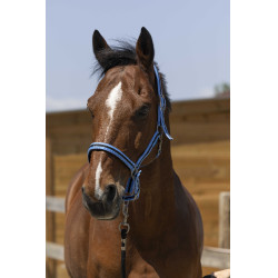 Halfter Norton Satine Himmelblau / Schwarz