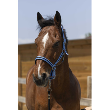 Halfter Norton Satine Himmelblau / Schwarz