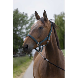 Halfter Norton Satine Dunkelgrün Gr&uuml;n