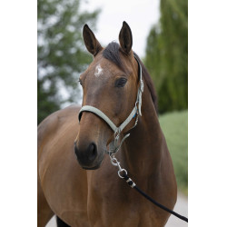 Halfter Norton Satine Olive Gr&uuml;n