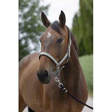 Halfter Norton Satine Olive Gr&uuml;n