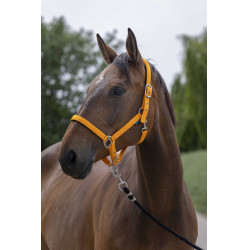 Halfter Norton Satine Orange