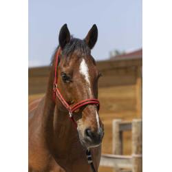 Halfter Norton Satine Rot / Schwarz