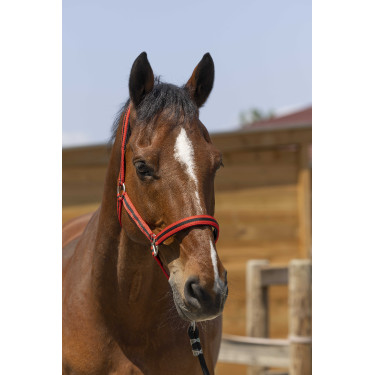Halfter Norton Satine Rot / Schwarz