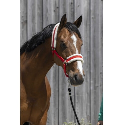 Kopfstück Riding World synthetisches Lammfell Rot