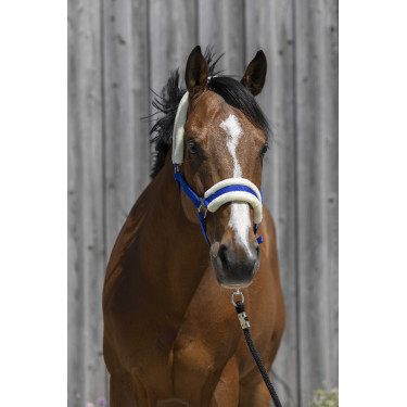 Kopfstück Riding World synthetisches Lammfell Königsblau