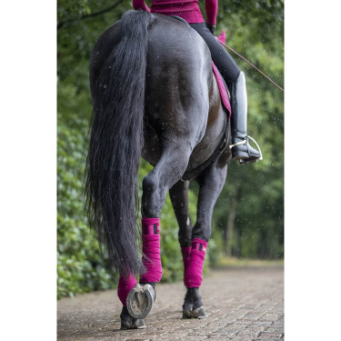 Polo-Bandagen Loire LeMieux Brombeere Bordeaux Polo-Bandagen Loire LeMieux Brombeere Bordeaux