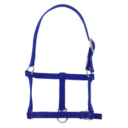 Fohlenhalfter Riding World Königsblau Fohlenhalfter Riding World Königsblau