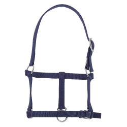 Fohlenhalfter Riding World Marineblau