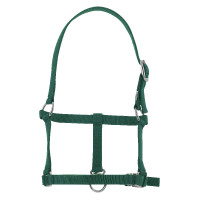 Fohlenhalfter Riding World Dunkelgrün Gr&uuml;n