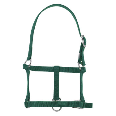 Fohlenhalfter Riding World Dunkelgrün Gr&uuml;n