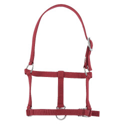 Fohlenhalfter Riding World Bordeaux