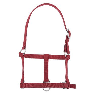 Fohlenhalfter Riding World Bordeaux