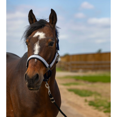 Halfter Equithème Nylon Check Marine / Schwarz Blau Halfter Equithème Nylon Check Marine / Schwarz Blau