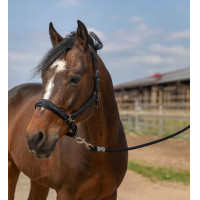 Halfter Equithème Nylon Strass Schwarz