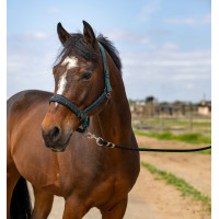 Halfter Equithème Nylon Strass Schwarz