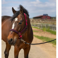 Halfter Equithème Nylon Strass Schwarz