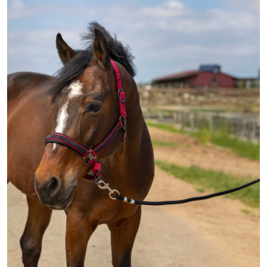 Halfter Equithème Nylon Strass Bordeaux Halfter Equithème Nylon Strass Bordeaux