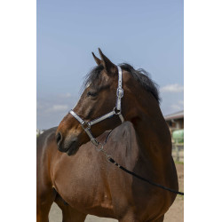 Norton Nylon Soft Halfter Marineblau Norton Nylon Soft Halfter Marineblau