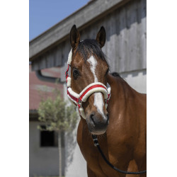 Norton Cosy Halfter Rot