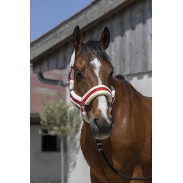 Norton Cosy Halfter Rot