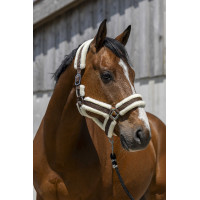 Norton Cosy Halfter Schokolade Braun