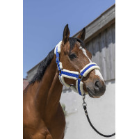 Norton Cosy Halfter Königsblau Norton Cosy Halfter Königsblau